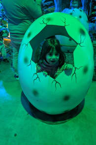 Photo 7 from Dinos Alive: un'esperienza immersiva