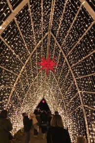 Photo 5 from Lumières en Seine : le parcours illuminé et musical des fêtes de fin d’année