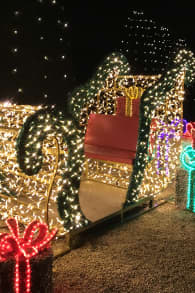 Photo 2 from Lumières en Seine : le parcours illuminé et musical des fêtes de fin d’année