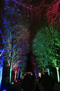 Photo 3 from Lumières en Seine : le parcours illuminé et musical des fêtes de fin d’année