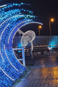 Photo 3 from LUMAGICA Lichterpark München