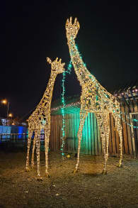 Photo 2 from LUMAGICA Lichterpark München