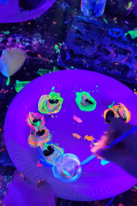 Photo 6 from Neon Brush Kids : Une expérience artistique en famille