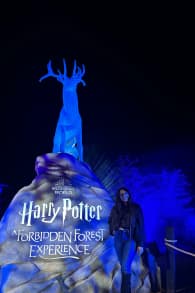 Photo 8 from Harry Potter™: A Forbidden Forest Experience