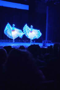 Photo 0 from Ballet of Lights: Sleeping Beauty in a Sparkling Show