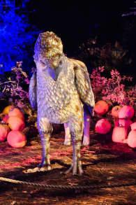Photo 0 from Harry Potter™: A Forbidden Forest Experience