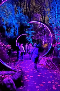 Photo 7 from Astra Lumina: Un paseo nocturno encantado entre las estrellas