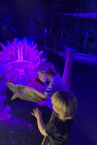 Photo 10 from Dinos Alive: An Immersive Experience