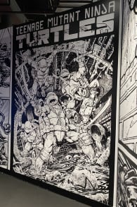 Photo 3 from TMNT: Heroes in a Half Shell