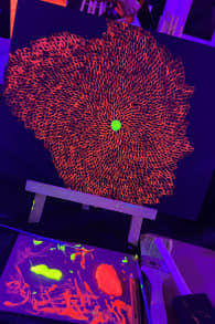 Photo 0 from Neon Brush: A Glow-in-the-Dark Painting Experience