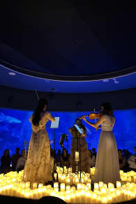 Photo 0 from Candlelight: Best of Magical Movie Soundtracks