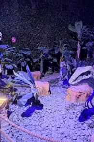 Photo 1 from Dinos Alive: un'esperienza immersiva