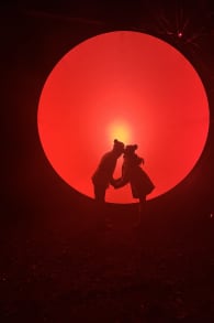 Photo 2 from Light Cycles: A glowing night walk through nature, light, and sound