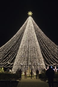 Photo 8 from ﻿Noches deslumbrantes