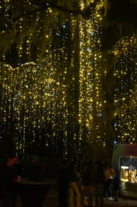 Photo 5 from ﻿Noches deslumbrantes