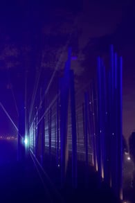 Photo 2 from Light Cycles: Una passeggiata notturna che brilla attraverso la natura, la luce e il suono - Sconto Speciale del 20%