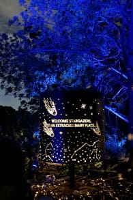 Photo 2 from Astra Lumina: An Enchanted Night Walk Amongst the Stars