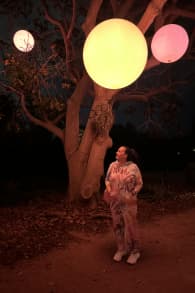 Photo 1 from Astra Lumina: An Enchanted Night Walk Amongst the Stars