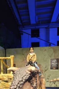 Photo 15 from Dinos Alive: un'esperienza immersiva