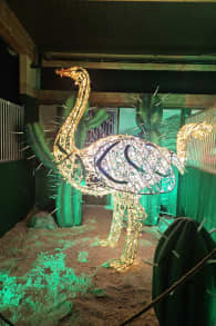 Photo 10 from LUMAGICA Lichterpark München