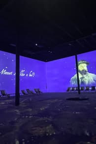 Photo 4 from Monet: The Immersive Experience