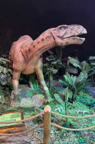 Photo 13 from Dinos Alive: un'esperienza immersiva