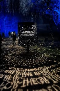 Photo 3 from Astra Lumina: Un paseo nocturno encantado entre las estrellas