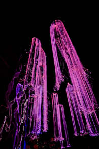 Photo 1 from Avora: A New World Immersive Experience