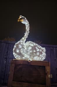 Photo 8 from LUMAGICA Lichterpark München