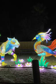 Photo 4 from Luminosa: Un Festival de Luces