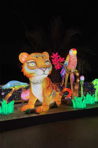 Photo 0 from Luminosa: Un Festival de Luces
