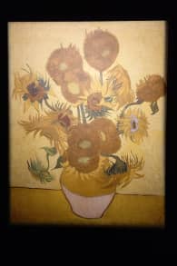Photo 4 from Van Gogh : L’expérience Immersive