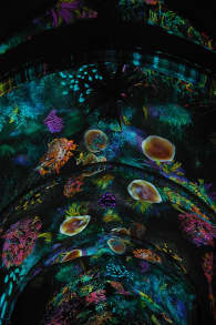 Photo 8 from EONARIUM presents: Genesis II, eine immersive Lichtshow in Leipzig