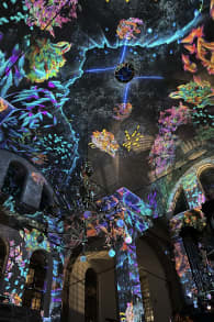 Photo 4 from Eonarium Genesis: De Spectaculaire Lichtshow