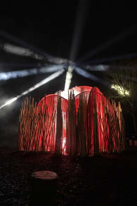 Photo 1 from Light Cycles: A glowing night walk through nature, light, and sound