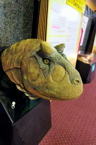 Photo 2 from Dinosaurs of Patagonia: Knowledge Through Science