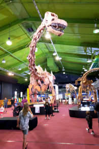 Photo 0 from Dinosaurs of Patagonia: Knowledge Through Science