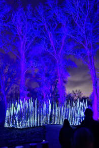 Photo 4 from Light Cycles: A glowing night walk through nature, light, and sound