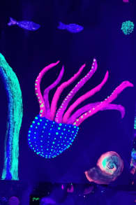 Photo 4 from Neon Brush Kids : Une expérience artistique en famille