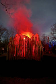 Photo 3 from Light Cycles: A glowing night walk through nature, light, and sound