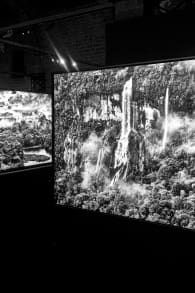 Photo 8 from AMAZÔNIA, a Major Exhibition by Sebastião Salgado