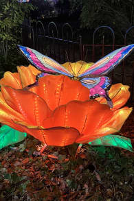 Photo 8 from LEKTRIK ART: A Festival of Lights