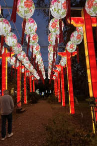 Photo 4 from LEKTRIK ART: A Festival of Lights