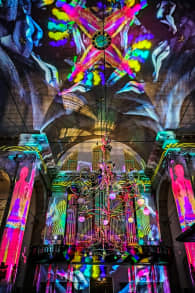 Photo 5 from Eonarium Genesis: De Spectaculaire Lichtshow