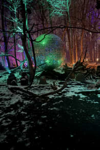 Photo 1 from Astra Lumina: Un paseo nocturno encantado entre las estrellas