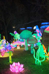 Photo 0 from LEKTRIK ART: A Festival of Lights