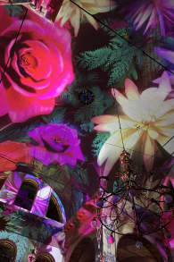 Photo 7 from Eonarium Genesis: De Spectaculaire Lichtshow