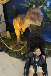 Photo 5 from Viven Dinosaurios - Mar de Plata