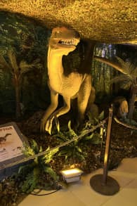 Photo 4 from Viven Dinosaurios - Mar de Plata