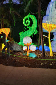 Photo 4 from Luminosa: Un mundo de encanto
